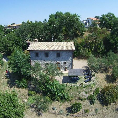 Fattoria Capobianco Villa Montefiascone Luaran gambar