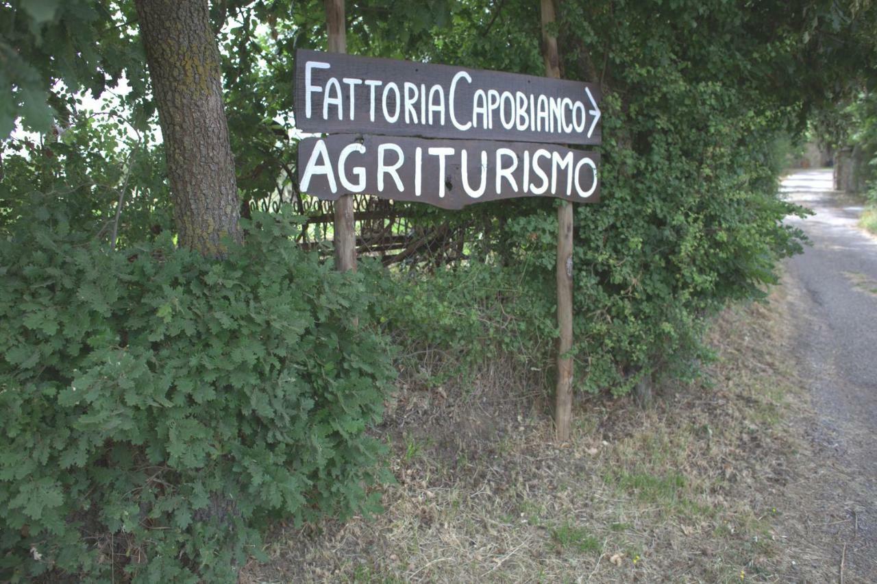 Fattoria Capobianco Villa Montefiascone Luaran gambar