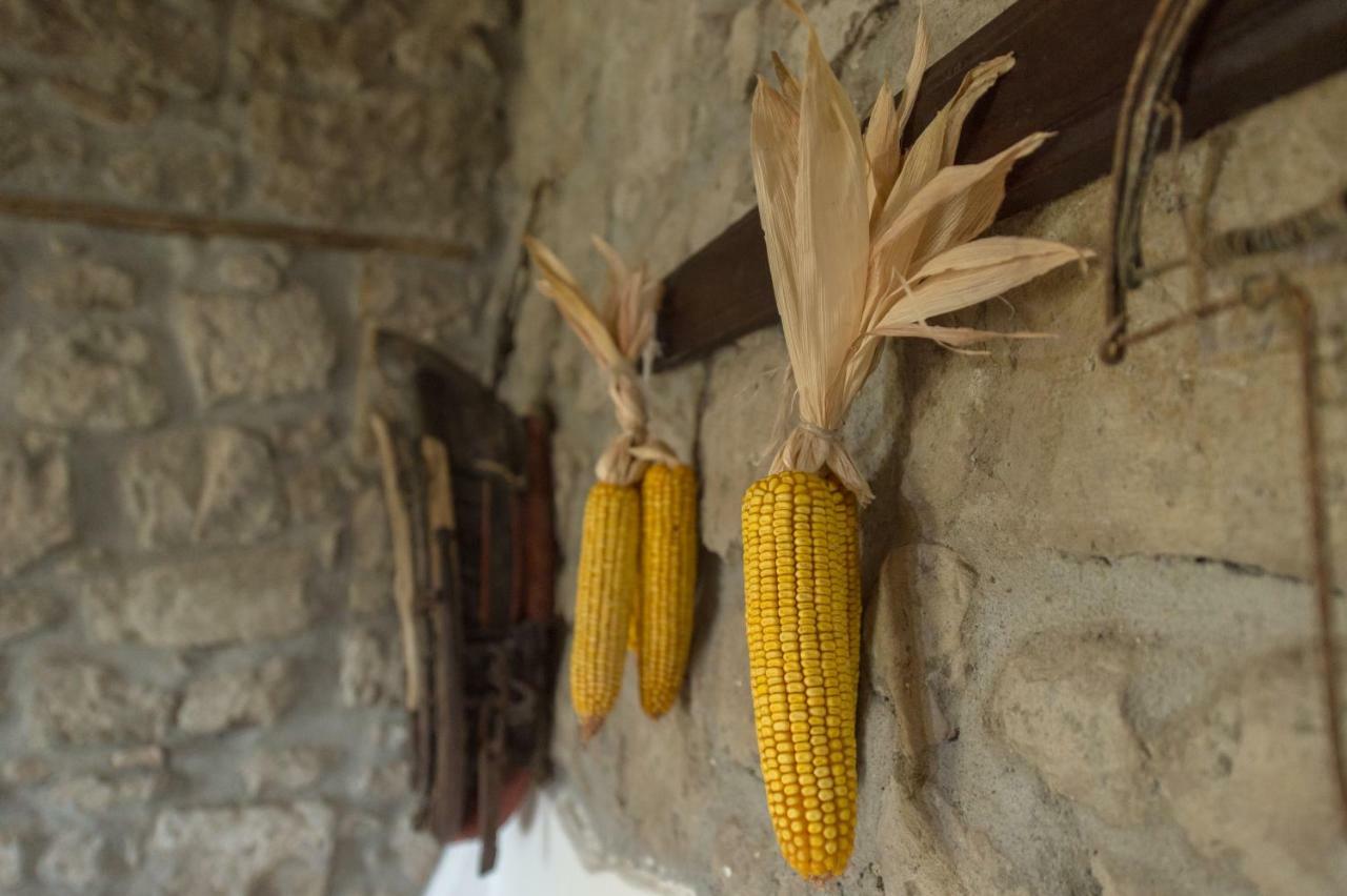 Fattoria Capobianco Villa Montefiascone Luaran gambar